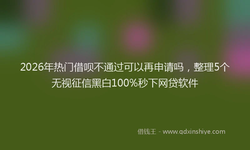 2026年热门借呗不通过可以再申请吗，整理5个无视征信黑白100%秒下网贷软件