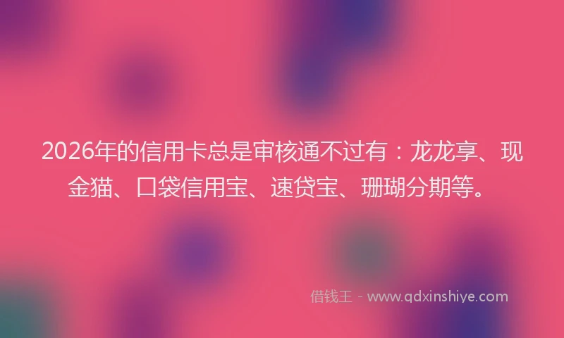 2026年的信用卡总是审核通不过有：龙龙享、现金猫、口袋信用宝、速贷宝、珊瑚分期等。