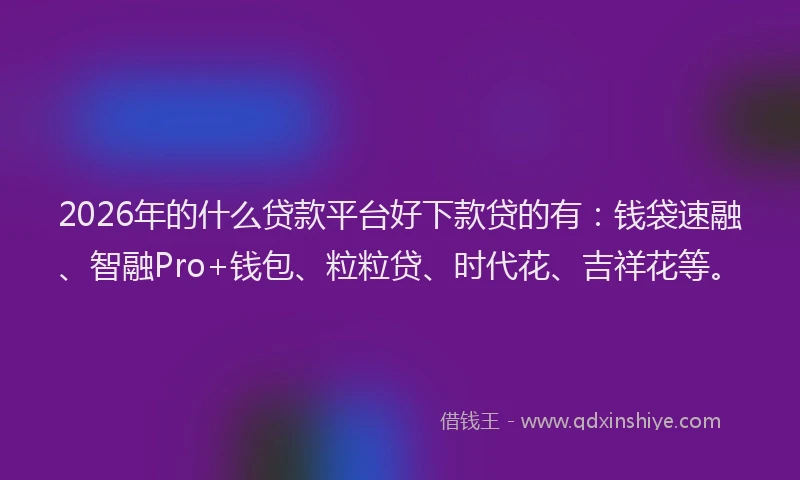 2026年的什么贷款平台好下款贷的有：钱袋速融、智融Pro+钱包、粒粒贷、时代花、吉祥花等。