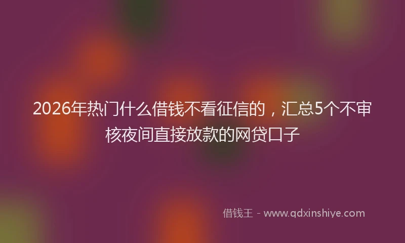 2026年热门什么借钱不看征信的，汇总5个不审核夜间直接放款的网贷口子