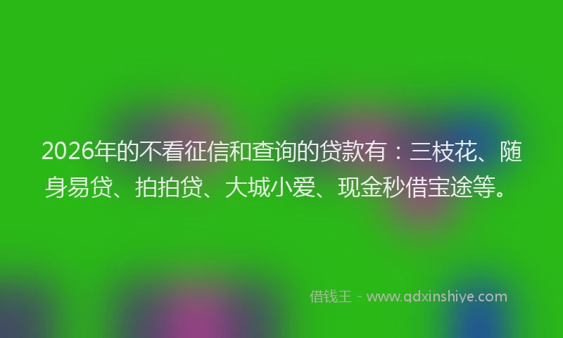 2026年的不看征信和查询的贷款有：三枝花、随身易贷、拍拍贷、大城小爱、现金秒借宝途等。
