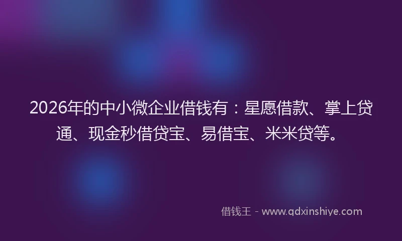 2026年的中小微企业借钱有：星愿借款、掌上贷通、现金秒借贷宝、易借宝、米米贷等。