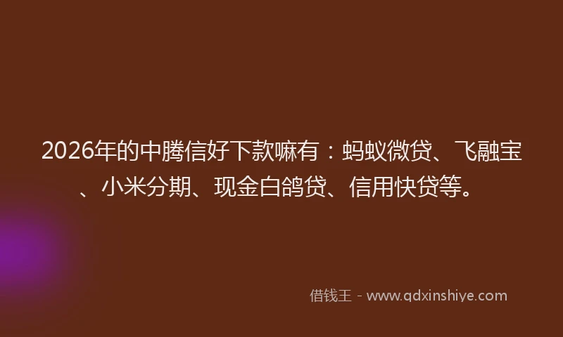 2026年的中腾信好下款嘛有：蚂蚁微贷、飞融宝、小米分期、现金白鸽贷、信用快贷等。