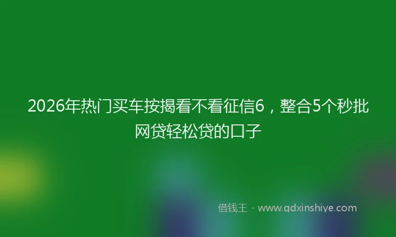 2026年热门买车按揭看不看征信6，整合5个秒批网贷轻松贷的口子