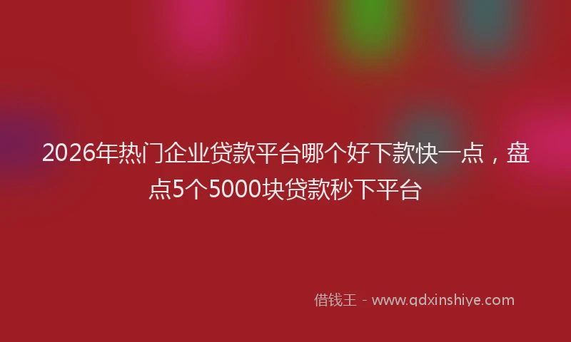 2026年热门企业贷款平台哪个好下款快一点，盘点5个5000块贷款秒下平台