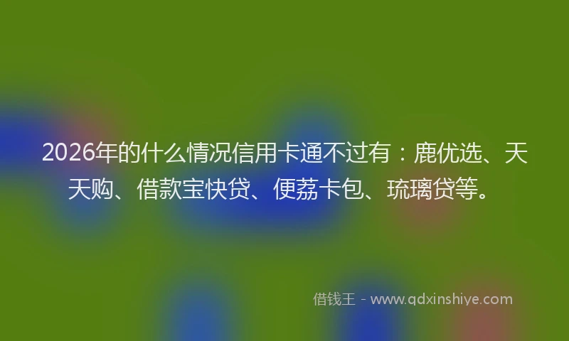 2026年的什么情况信用卡通不过有：鹿优选、天天购、借款宝快贷、便荔卡包、琉璃贷等。