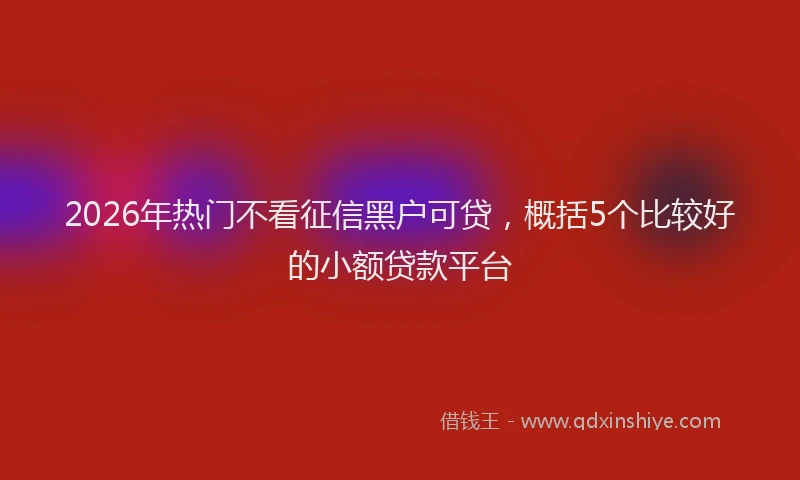 2026年热门不看征信黑户可贷，概括5个比较好的小额贷款平台