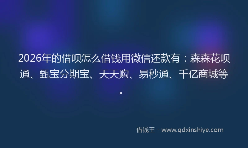 2026年的借呗怎么借钱用微信还款有：森森花呗通、甄宝分期宝、天天购、易秒通、千亿商城等。