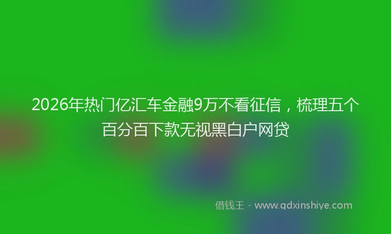 2026年热门亿汇车金融9万不看征信，梳理五个百分百下款无视黑白户网贷