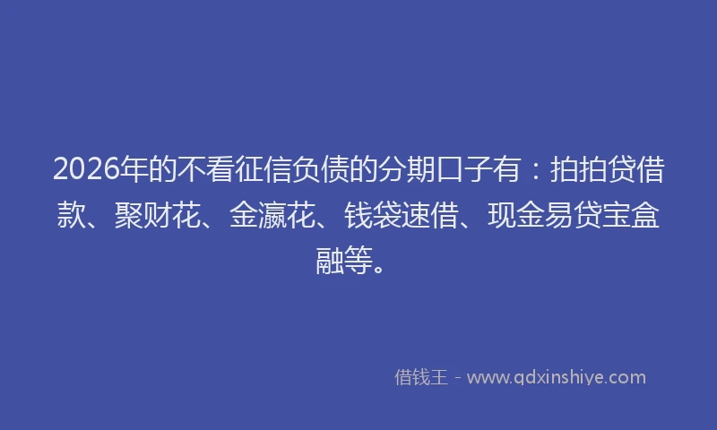 2026年的不看征信负债的分期口子有：拍拍贷借款、聚财花、金瀛花、钱袋速借、现金易贷宝盒融等。