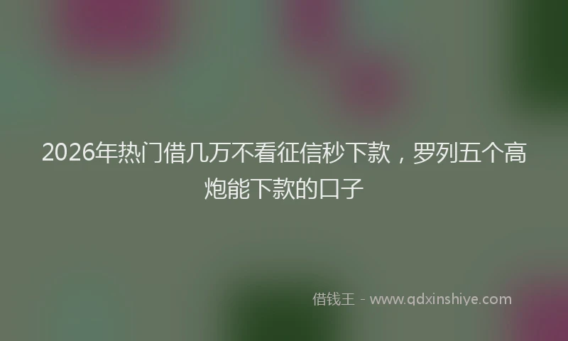 2026年热门借几万不看征信秒下款，罗列五个高炮能下款的口子