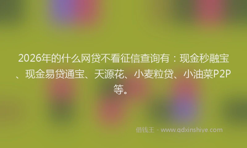 2026年的什么网贷不看征信查询有：现金秒融宝、现金易贷通宝、天源花、小麦粒贷、小油菜P2P等。