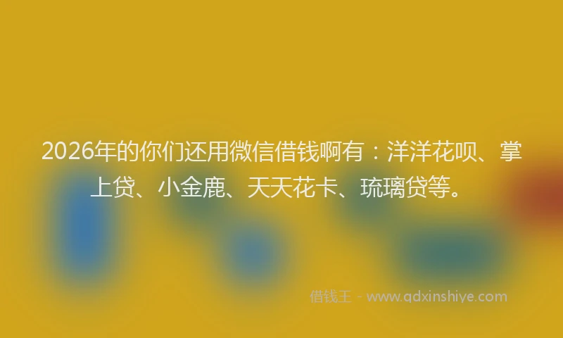 2026年的你们还用微信借钱啊有：洋洋花呗、掌上贷、小金鹿、天天花卡、琉璃贷等。
