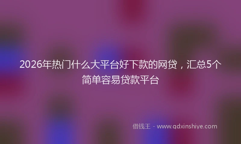 2026年热门什么大平台好下款的网贷，汇总5个简单容易贷款平台