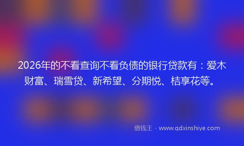 2026年的不看查询不看负债的银行贷款有：爱木财富、瑞雪贷、新希望、分期悦、桔享花等。