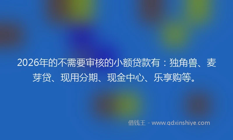 2026年的不需要审核的小额贷款有：独角兽、麦芽贷、现用分期、现金中心、乐享购等。