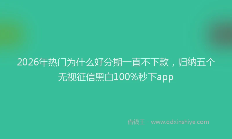 2026年热门为什么好分期一直不下款，归纳五个无视征信黑白100%秒下app