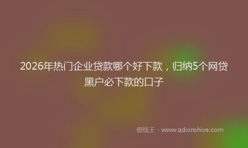 2026年热门企业贷款哪个好下款，归纳5个网贷黑户必下款的口子