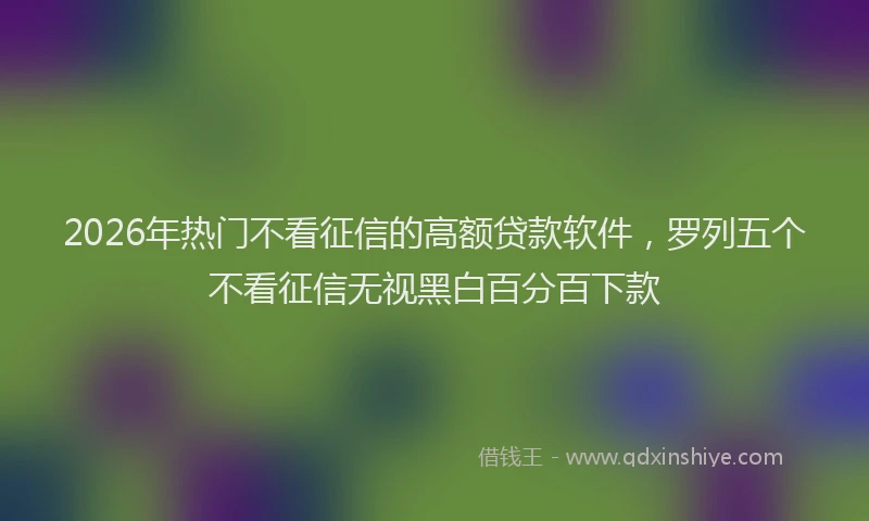 2026年热门不看征信的高额贷款软件，罗列五个不看征信无视黑白百分百下款