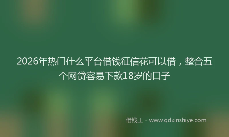2026年热门什么平台借钱征信花可以借，整合五个网贷容易下款18岁的口子