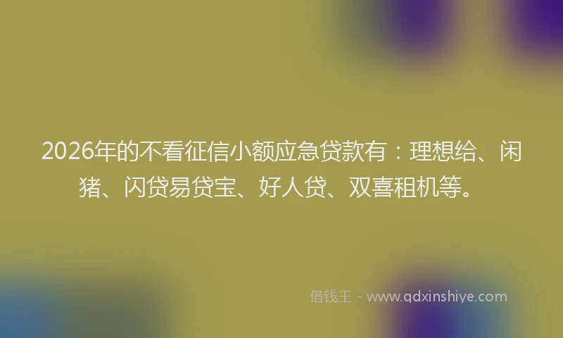 2026年的不看征信小额应急贷款有：理想给、闲猪、闪贷易贷宝、好人贷、双喜租机等。