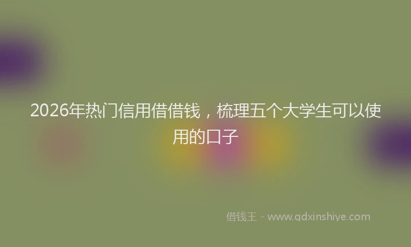 2026年热门信用借借钱，梳理五个大学生可以使用的口子