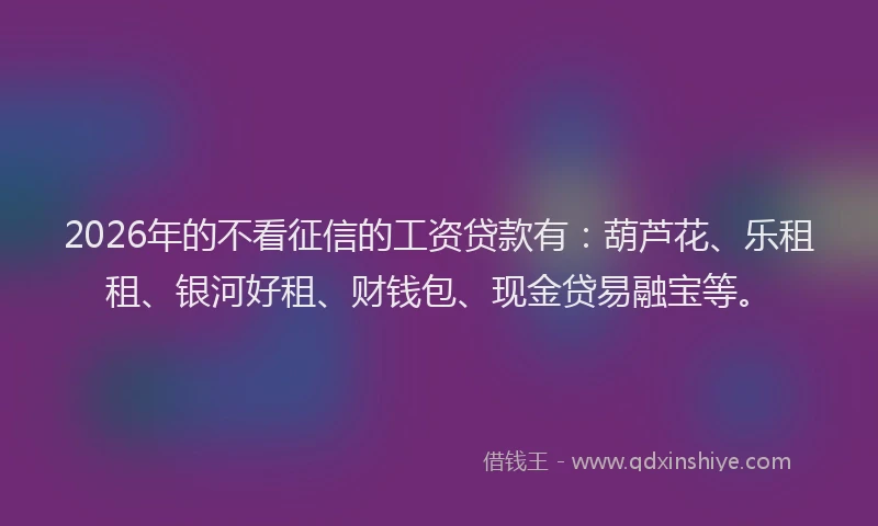 2026年的不看征信的工资贷款有：葫芦花、乐租租、银河好租、财钱包、现金贷易融宝等。