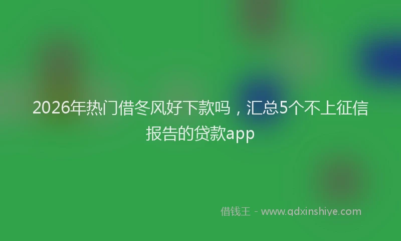 2026年热门借冬风好下款吗，汇总5个不上征信报告的贷款app