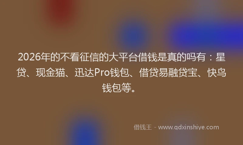 2026年的不看征信的大平台借钱是真的吗有：星贷、现金猫、迅达Pro钱包、借贷易融贷宝、快鸟钱包等。