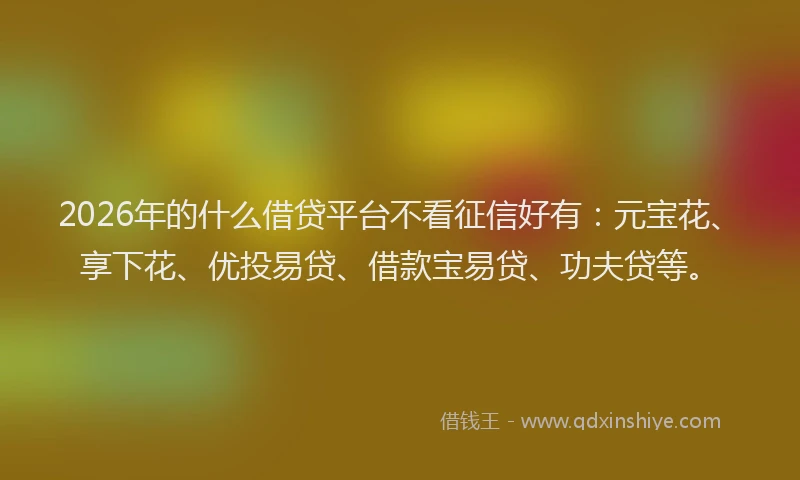 2026年的什么借贷平台不看征信好有：元宝花、享下花、优投易贷、借款宝易贷、功夫贷等。