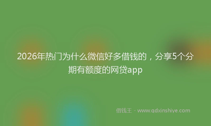 2026年热门为什么微信好多借钱的，分享5个分期有额度的网贷app