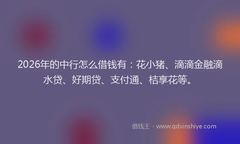 2026年的中行怎么借钱有：花小猪、滴滴金融滴水贷、好期贷、支付通、桔享花等。