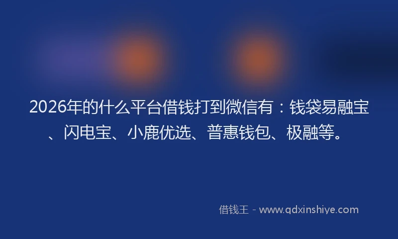 2026年的什么平台借钱打到微信有：钱袋易融宝、闪电宝、小鹿优选、普惠钱包、极融等。