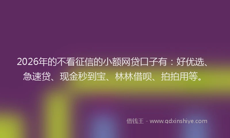 2026年的不看征信的小额网贷口子有：好优选、急速贷、现金秒到宝、林林借呗、拍拍用等。