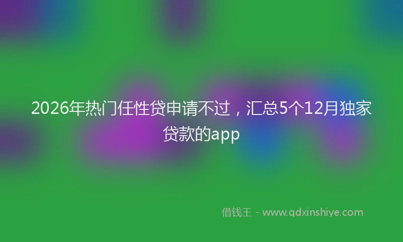 2026年热门任性贷申请不过，汇总5个12月独家贷款的app