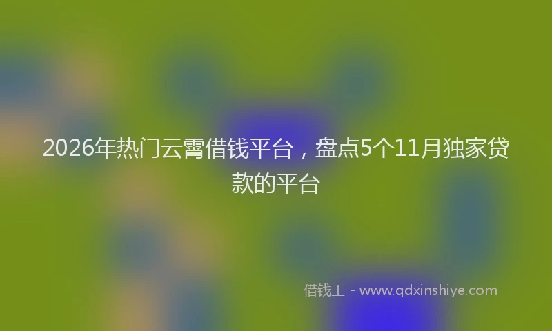 2026年热门云霄借钱平台，盘点5个11月独家贷款的平台