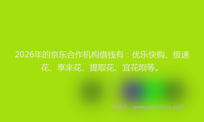 2026年的京东合作机构借钱有：优乐快购、极速花、享来花、提取花、宜花呗等。