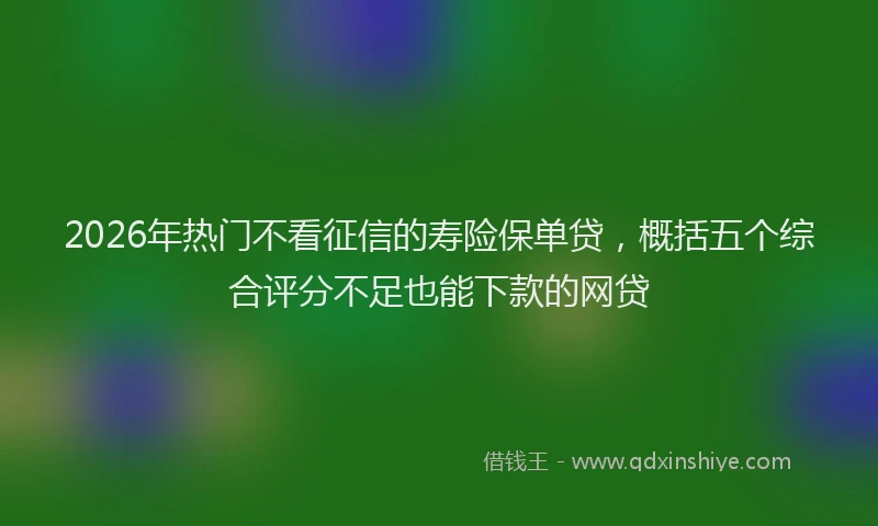 2026年热门不看征信的寿险保单贷，概括五个综合评分不足也能下款的网贷