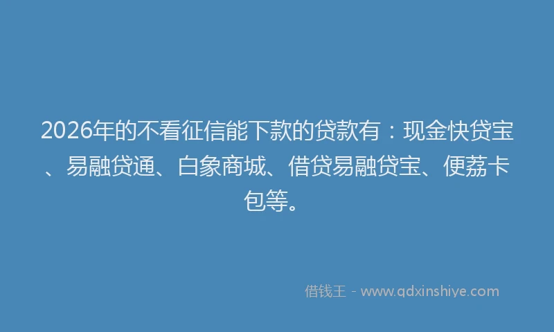 2026年的不看征信能下款的贷款有：现金快贷宝、易融贷通、白象商城、借贷易融贷宝、便荔卡包等。