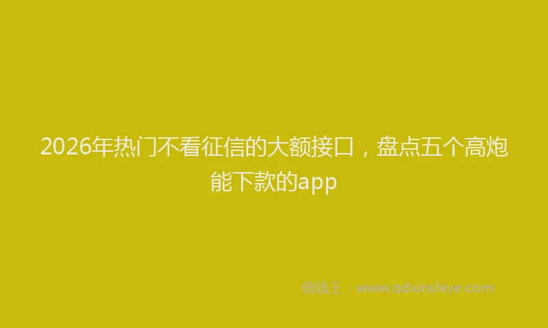 2026年热门不看征信的大额接口，盘点五个高炮能下款的app