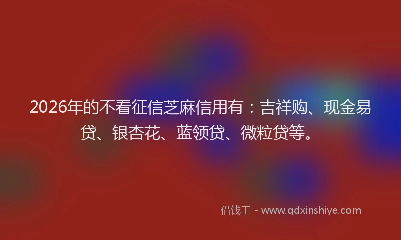 2026年的不看征信芝麻信用有：吉祥购、现金易贷、银杏花、蓝领贷、微粒贷等。