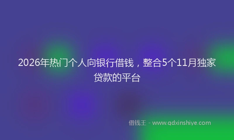 2026年热门个人向银行借钱，整合5个11月独家贷款的平台