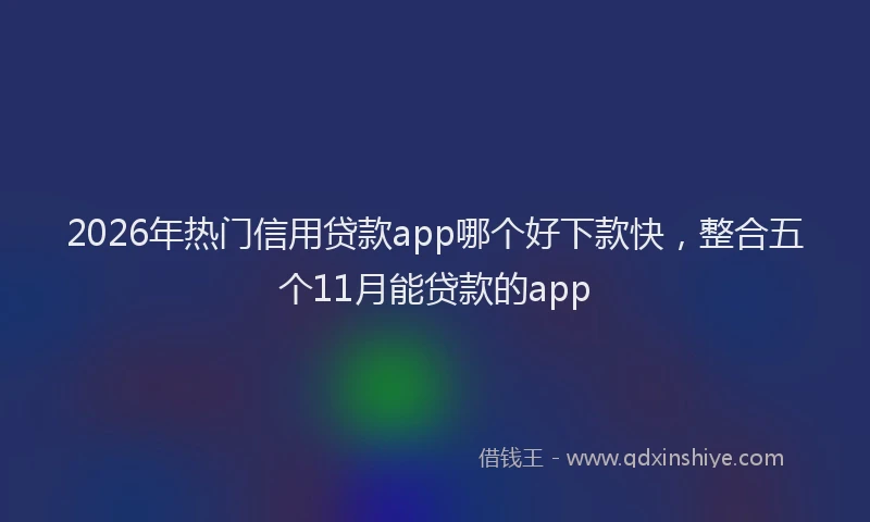 2026年热门信用贷款app哪个好下款快，整合五个11月能贷款的app