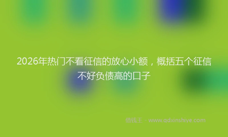 2026年热门不看征信的放心小额，概括五个征信不好负债高的口子