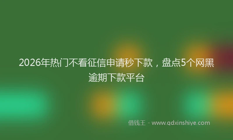 2026年热门不看征信申请秒下款，盘点5个网黑逾期下款平台