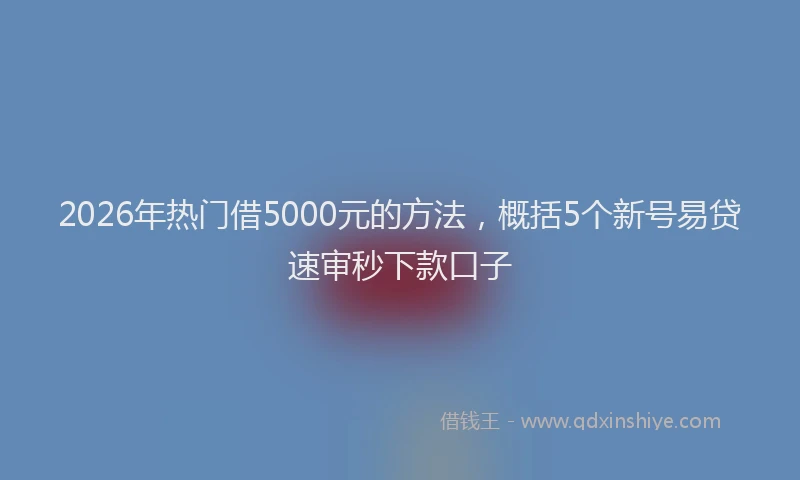 2026年热门借5000元的方法，概括5个新号易贷速审秒下款口子