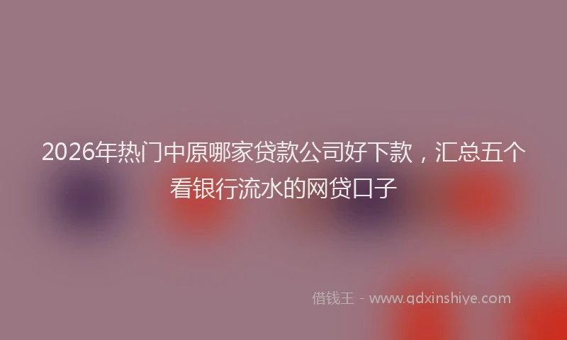 2026年热门中原哪家贷款公司好下款，汇总五个看银行流水的网贷口子