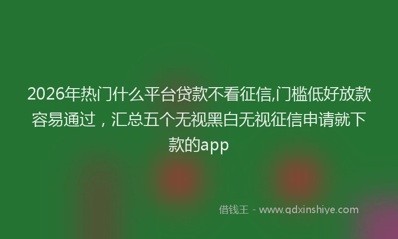 2026年热门什么平台贷款不看征信,门槛低好放款容易通过，汇总五个无视黑白无视征信申请就下款的app