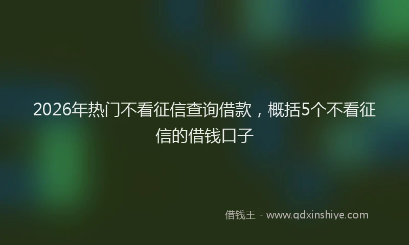 2026年热门不看征信查询借款，概括5个不看征信的借钱口子