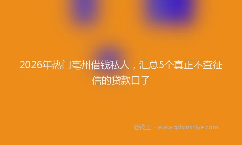 2026年热门亳州借钱私人，汇总5个真正不查征信的贷款口子